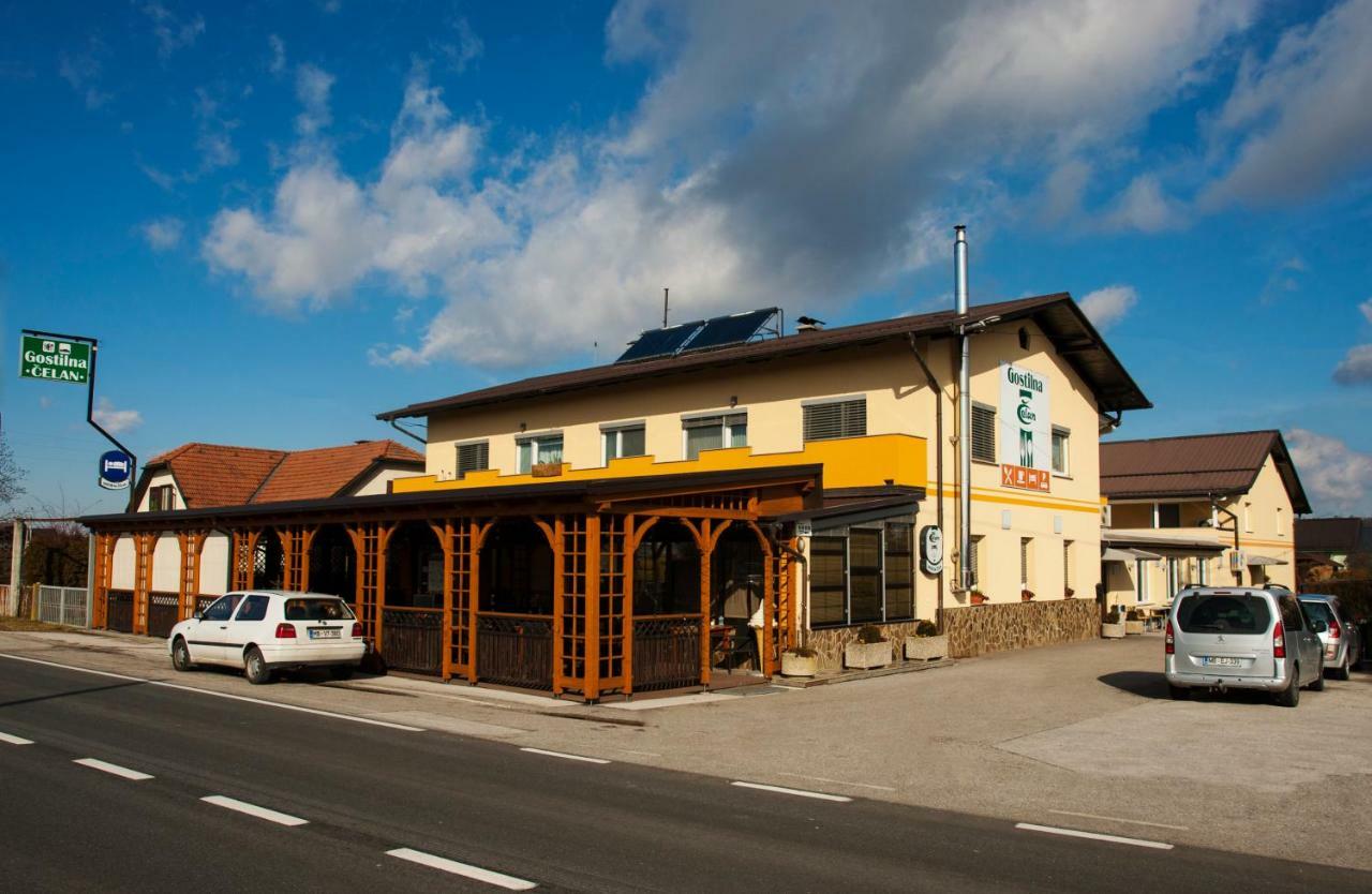 Guest House Celan Spodnja Hajdina Eksteriør bilde